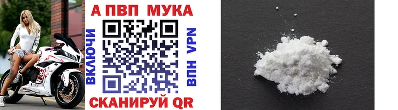 KRAKEN как зайти  дарнет шоп  Губкин  Альфа ПВП СК 