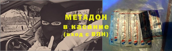 гашик Алексин