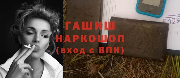 гашик Алексин