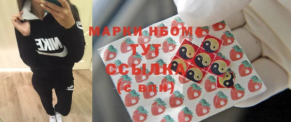 гашик Алексин