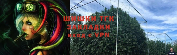 ГАЛЛЮЦИНОГЕННЫЕ ГРИБЫ Алзамай