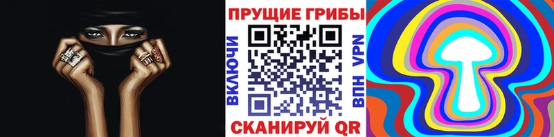 Псилоцибиновые грибы мухоморы  купить наркотики цена  hydra ONION  Губкин 